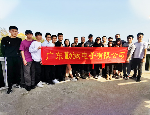 廣東勤微電子有限公司